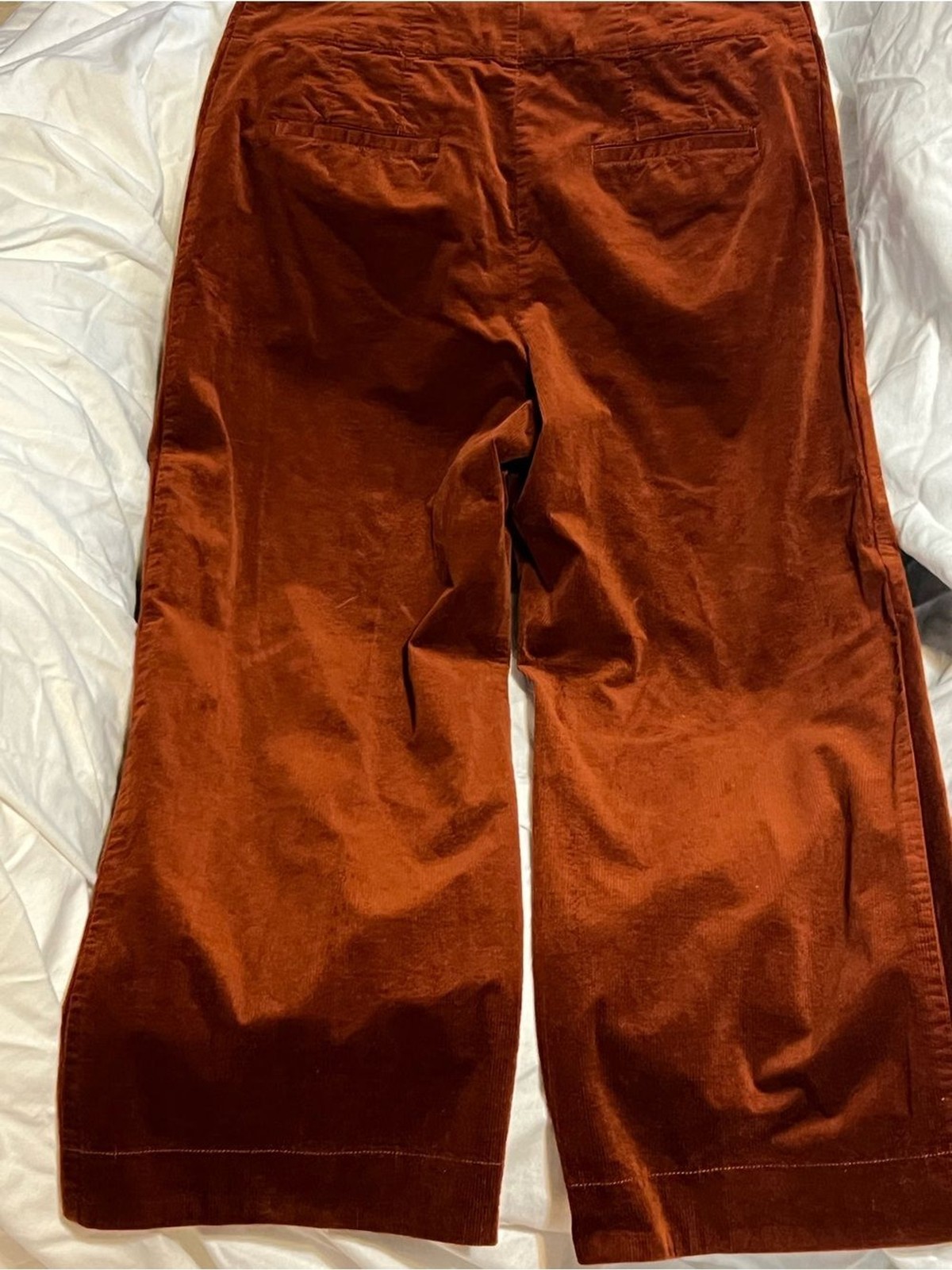 Anthropologie Rust Corduroy High-Waist Pants
