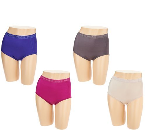 BREEZIES Nylon Microfiber Brief Panties A287799