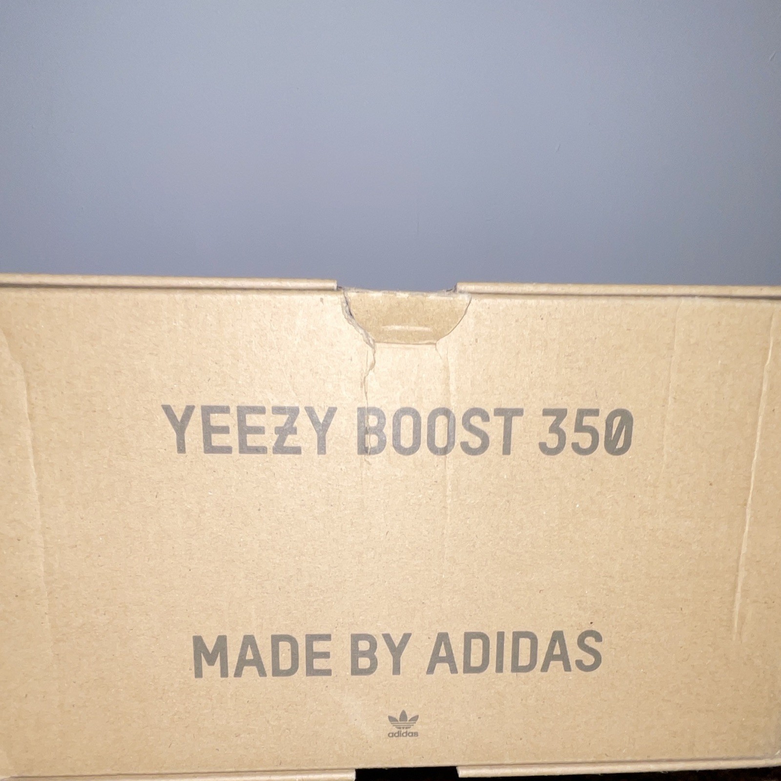 adidas Yeezy Boost 350 V2