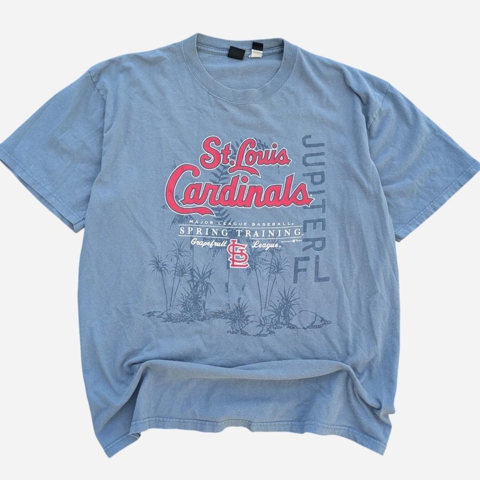Mlb Men’s Red and Blue T-shirt