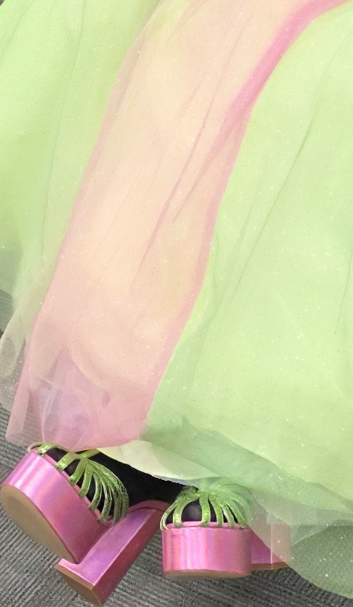 SUNLIME POSH PRECIOUS FORMALS QUINCEANERA BALLGOWN Prom Dress Pageant Gown 20664