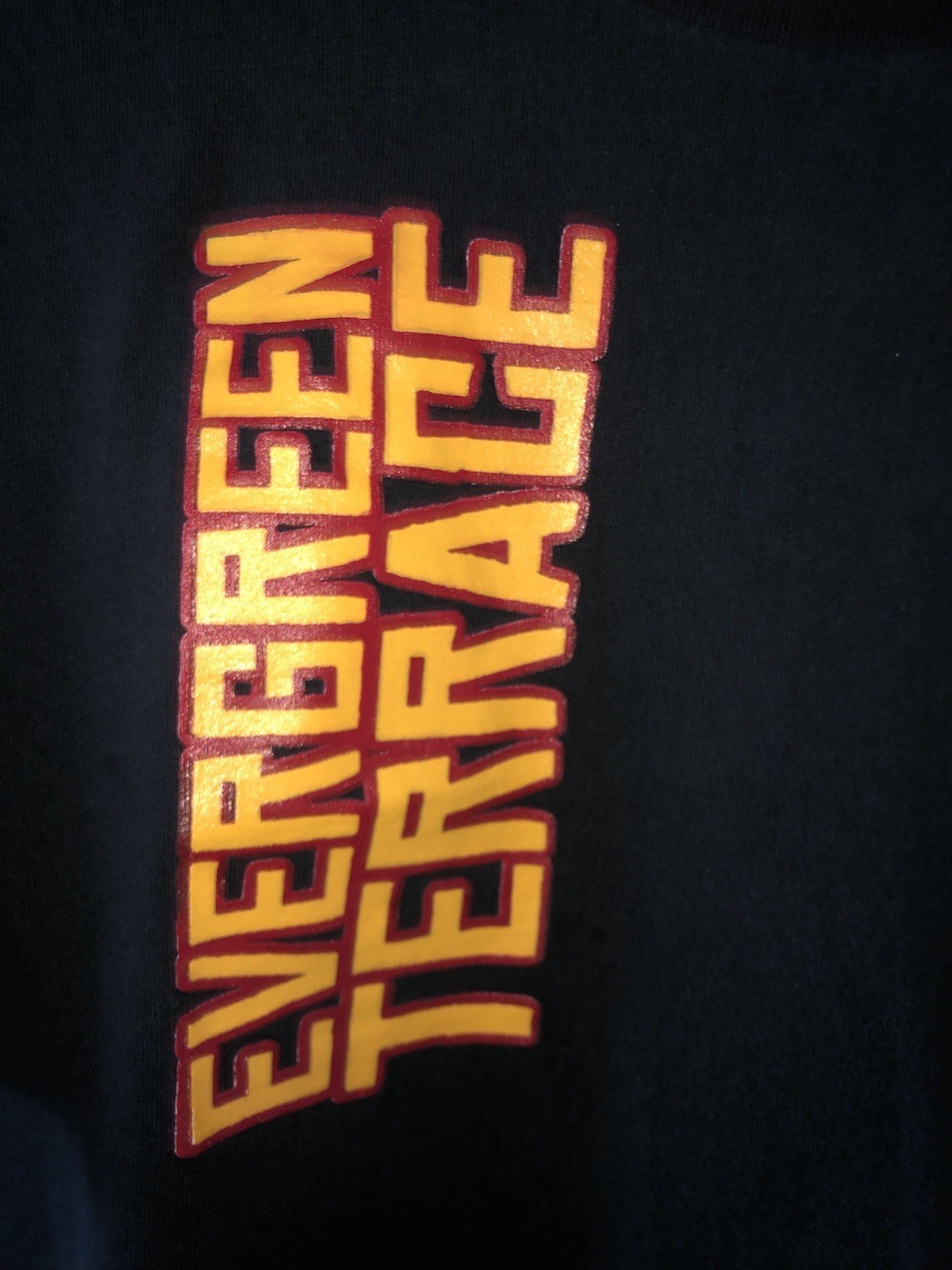 VTG Y2K Evergreen Terrace Shirt Sz M Metalcore Hardcore Eighteen Visions 2-Sided