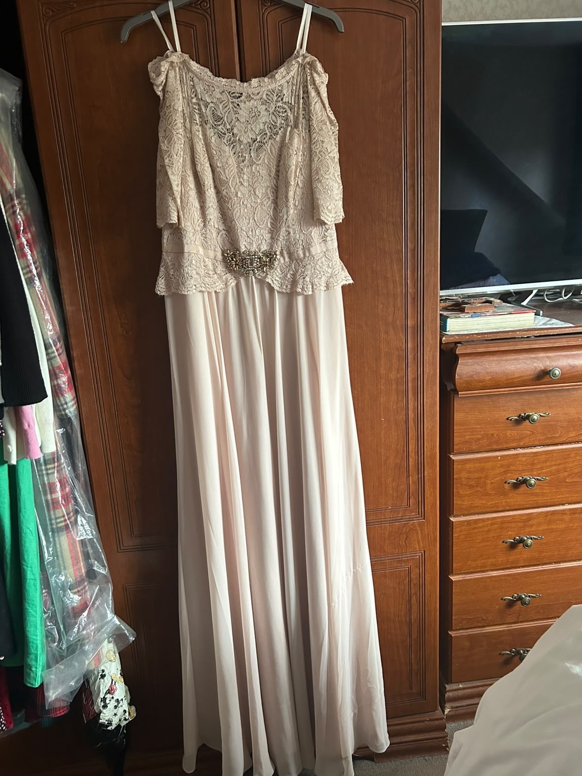 Jenny Packham No1 Blush Pink Chiffon & Lace Gown UK14 Never worn 💖