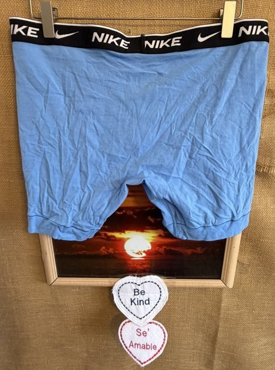 NWOT Nike Dry fit men’s L boxer briefs blue functional-fly stretch Sri Lanka