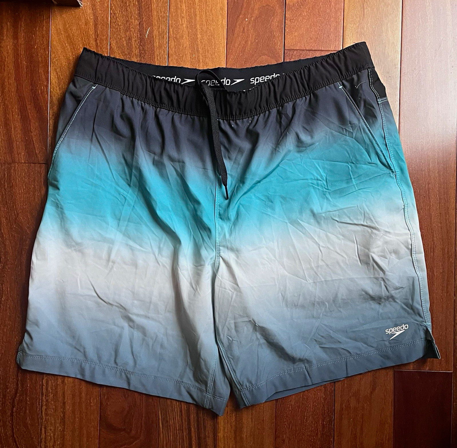 Men’s Speedo Swim Shorts